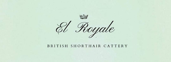 Logo of El Royale *MT cattery