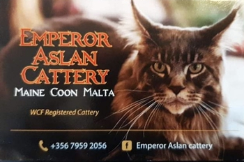 Logo of Emperor Aslan *MT cattery
