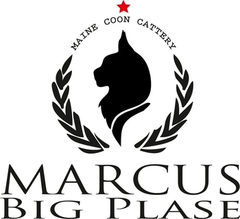 Logo of Marcus Big Place *IL cattery
