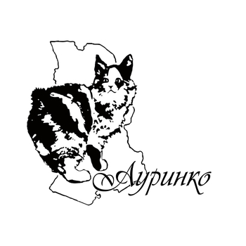 Logo of KRNPO “CFC “Aurinko” club