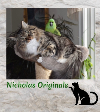 Logo of Nicholas originals *US cattery