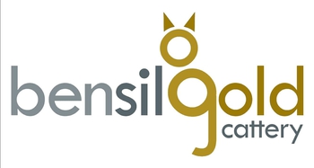 Logo of Bensilgold *MT cattery