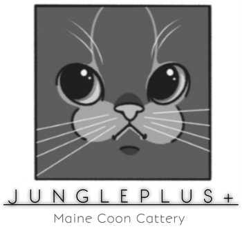 Logo of Jungleplus *IL cattery