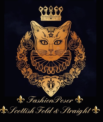 Logo of FashionPoser *MT cattery