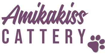 Logo of Amikakiss *MT cattery