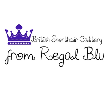 Logo of from Regal Blu *MT cattery