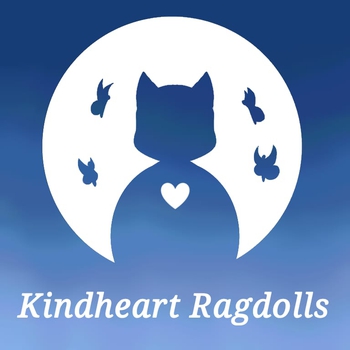 Logo of Kindheart *MT cattery